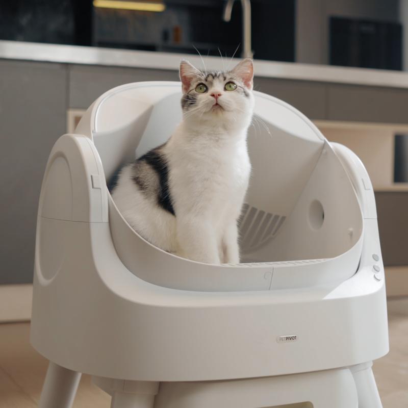 Large Open-Top Automatic Cat Litter Box Self Cleaning with Safety Protection, Mat and Trash Bags Included